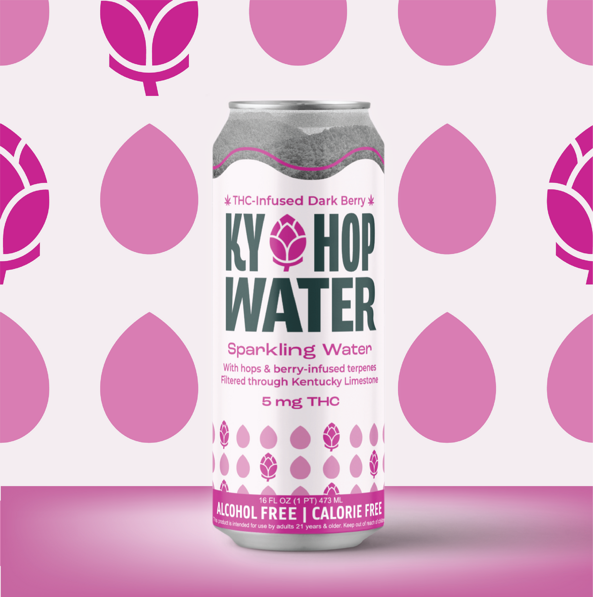 Infused Dark Berry Kentucky Hop Water, 5mg (4-Pack)